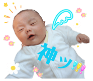 845806612