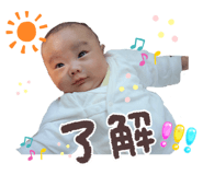 845806615