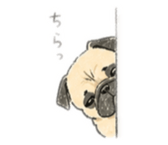 845807015