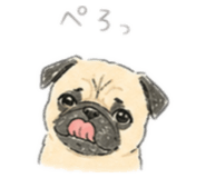845807020