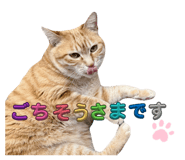 845807321