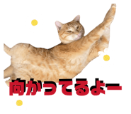 845807326