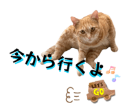 845807327