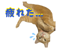 845807337
