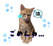845807338