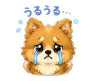845807625