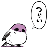 845810201