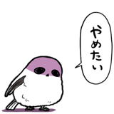845810204