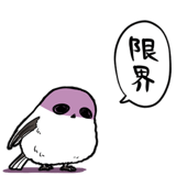 845810206