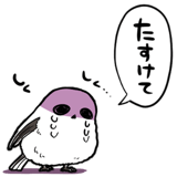 845810207