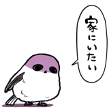 845810209