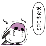 845810210