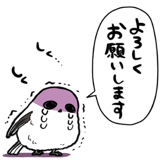 845810213
