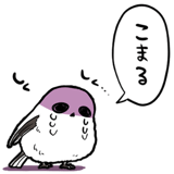 845810225
