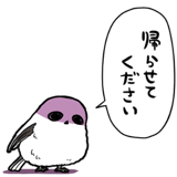 845810233