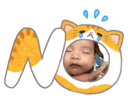845812371