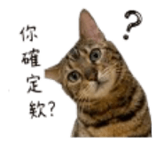 845812797