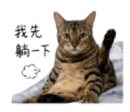 845812802