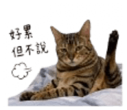 845812804