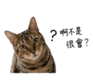 845812808