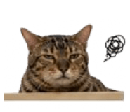 845812816