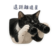 845812982