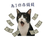 845812989