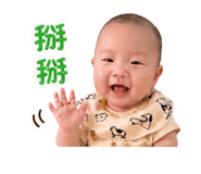 845813133