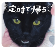 845814621