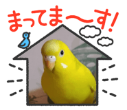 845814622