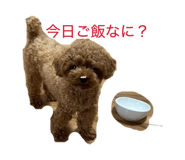 845815228
