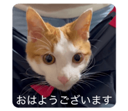 845815313