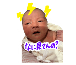 845815444