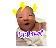 845815444
