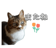 845815618