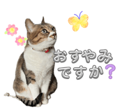 845815628
