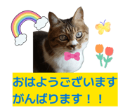 845815632