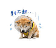 845816097
