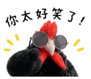 845816874