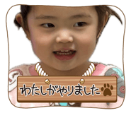 845817497