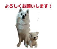 845817545