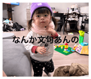 845817568