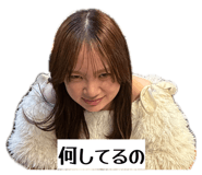 845817647