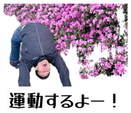845817658