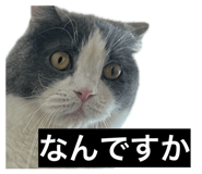 845817978