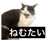 845817979
