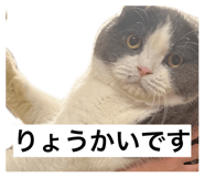 845817980