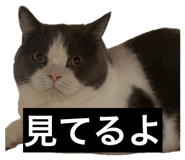 845817983