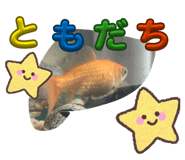 845818889