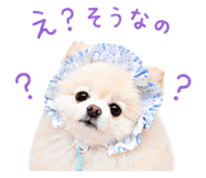 845819100